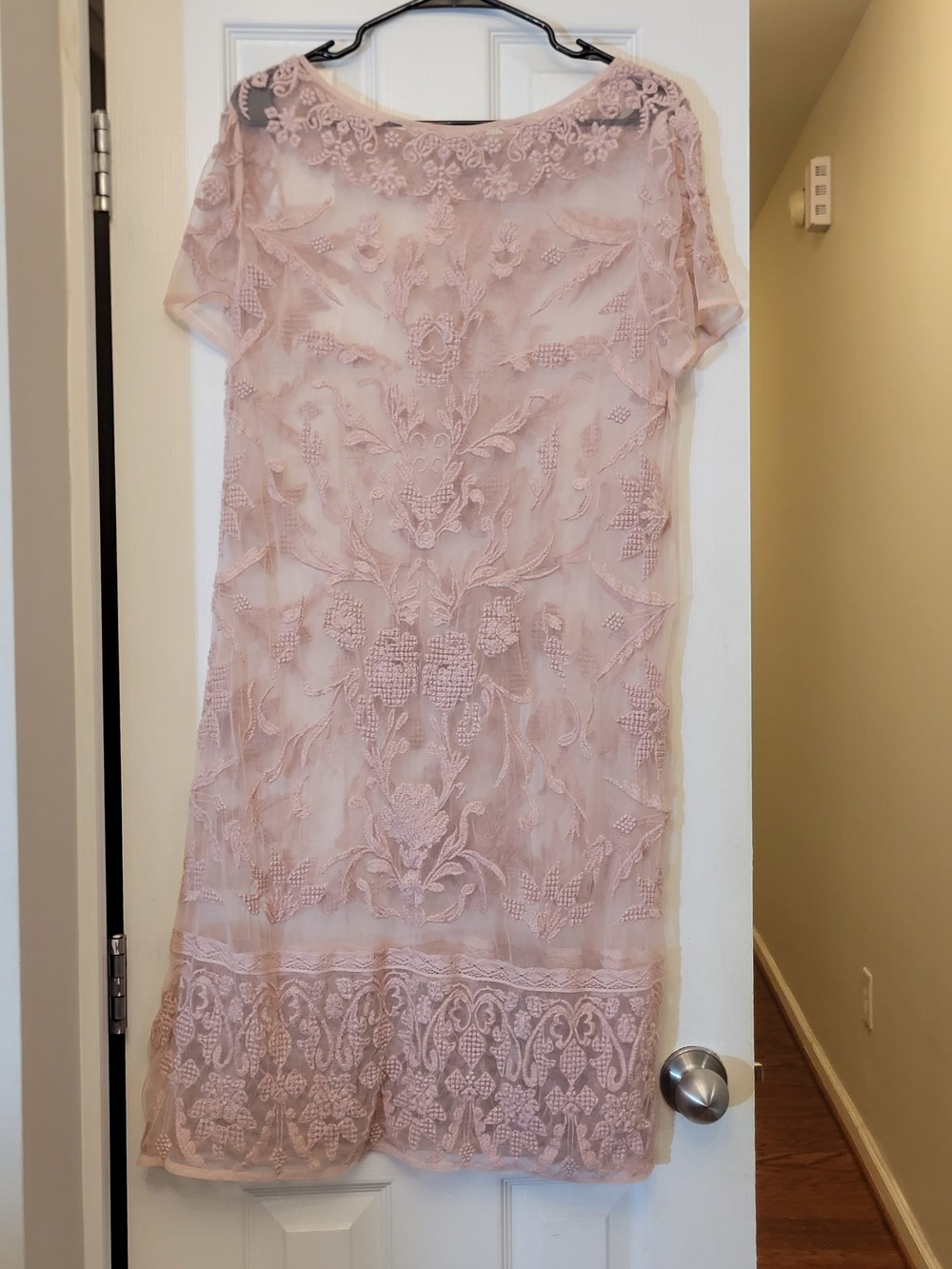 Sundance Blush Pink Embroidered Sheer Overlay Dress